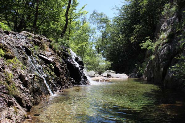 Rivière Rieutort