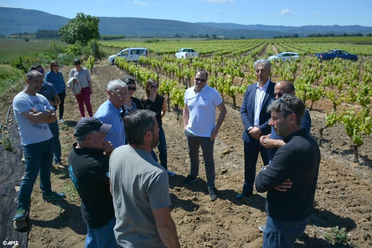 2019-05-23 Inauguration Haies Plantations Vignerons Triangle d'Or