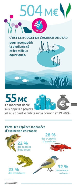 "Eau et biodiversité : quelques chiffres clés (voir description détaillée ci-après)"