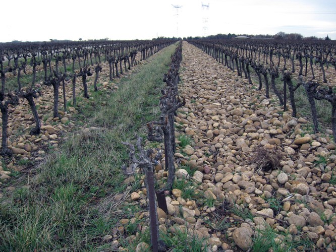 Le partenariat entre l'agence de l'eau et la chambre d'agriculture a été initié dans les années 90