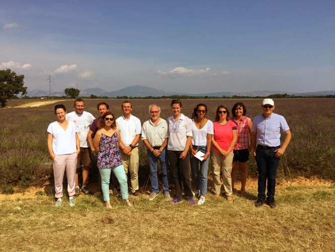 Projet Regain sur le plateau de valensole - 04