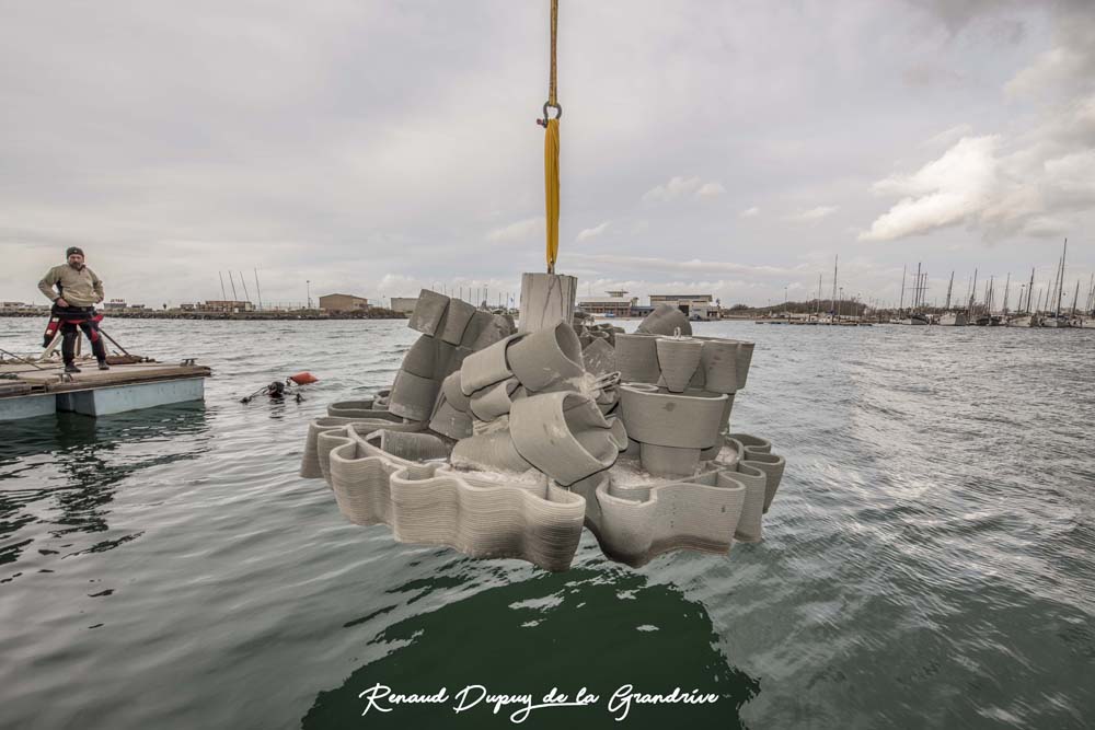 Immersion récifs Port du Cap - Renaud Dupuy de la Grandrive
