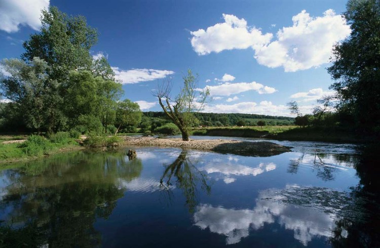 BIOS-Rivière l'Allan et reflets du ciel Doubs- Dominique Delfino web