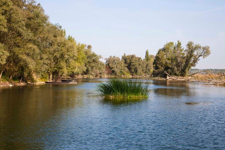 rivière en Saône et Loire web