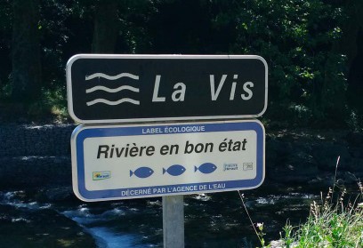 La Vis - Rivière en bon état