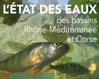 Etat des eaux 2020
