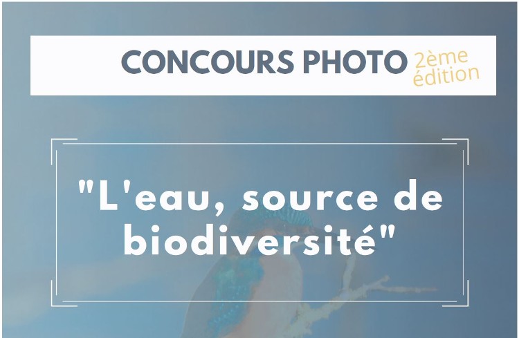 Concours photo Eau et biodiversité SMABB