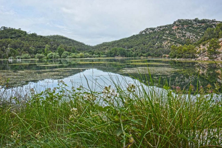 Lac de Carcès
