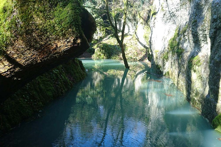 Marais de Saône