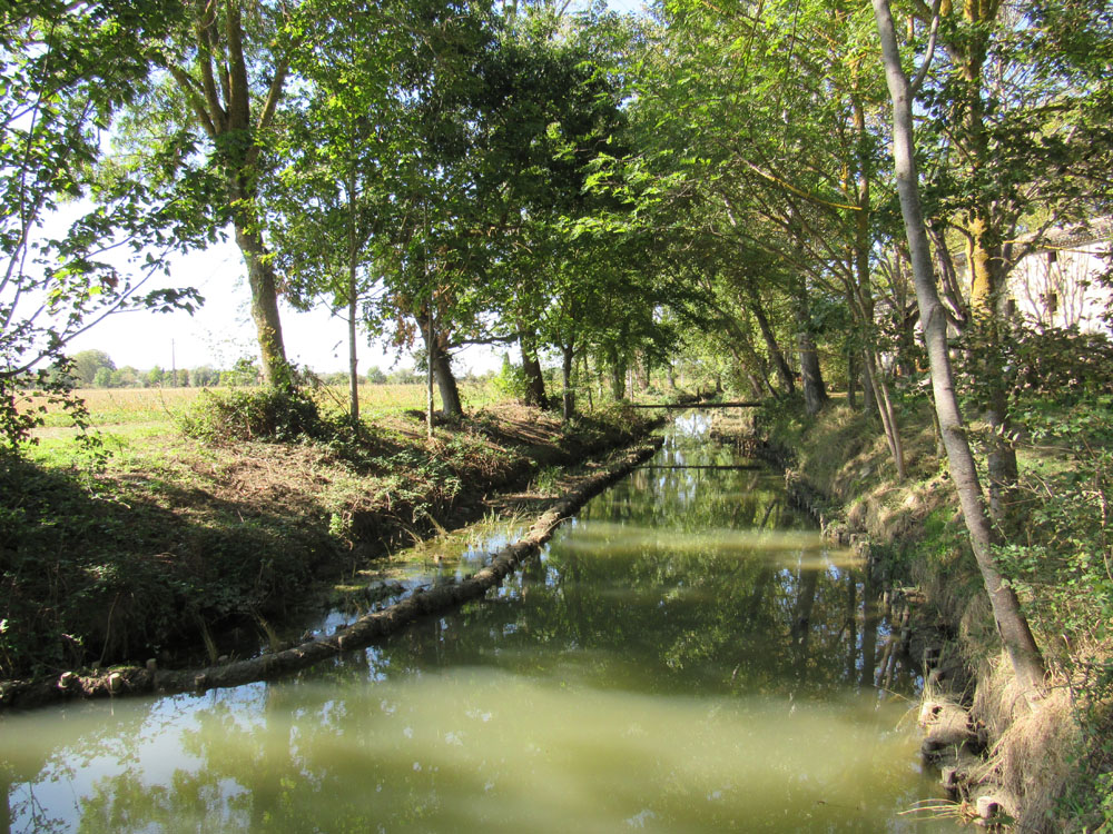 Treboul