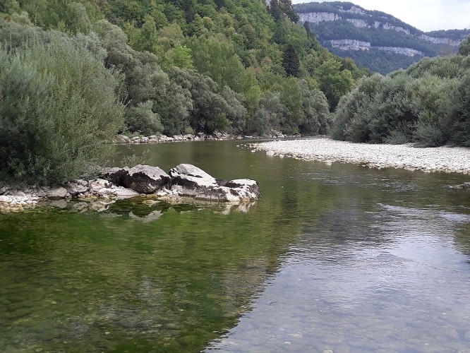 La Bienne