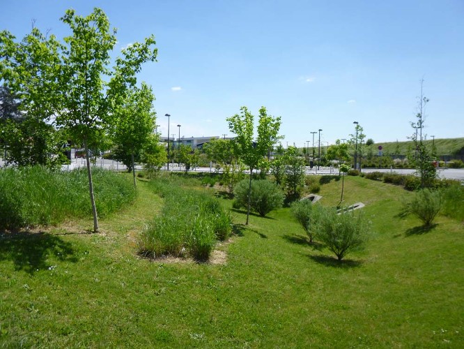 photo jardin de pluie-CERTU