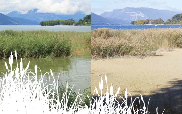 lac du bourget baisse exceptionnelle