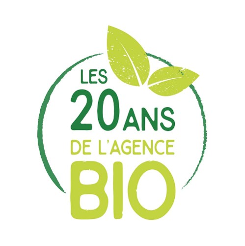 Logo-couleur 20 ans RS web