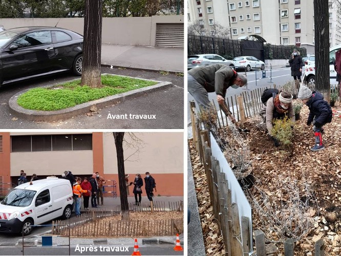 arbre de pluie