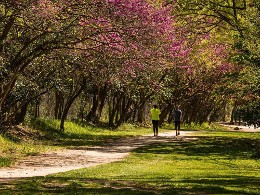 Aix-en-Provence : une promenade au sein d’une biodiversité préservée