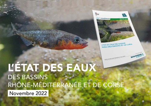 Quel est l’état de santé des eaux en Rhône-Méditerranée et en Corse ?