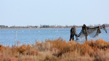 Bassin de l’Or : 96 actions pour les milieux aquatiques et la ressource en eau