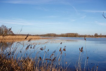 Gestion de l’eau : la Dombes se projette en 2050