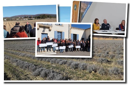 Paiements pour services environnementaux : le PNR du Luberon inaugure le dispositif en lavandiculture