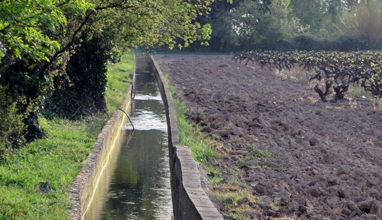 ASALa Fare-les-Oliviers-Canal