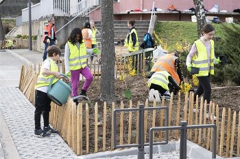 Plantations participatives à Couzon au Mont d'Or