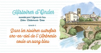 [Newsletter] Histoires d'Ondes #6 : Dans les rivières autrefois arc-en-ciel de l'Arbresle coule un sang d'encre