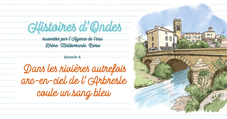image carrousel