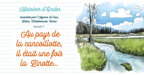 [Newsletter] Histoires d'Ondes #7 : Au pays de la cancoillotte, il était une fois la Linotte...