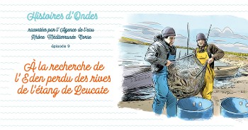 Histoires d'Ondes #9 : A la recherche de l'Eden perdu des rives de l'étang de Leucate