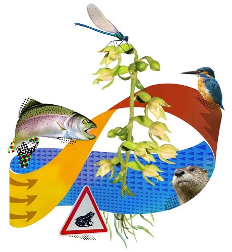 image couverture web