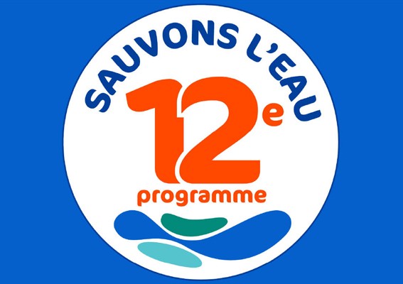 picto P12 svlo