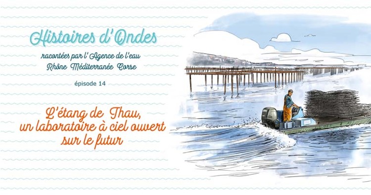 Slider-HDO-14 web