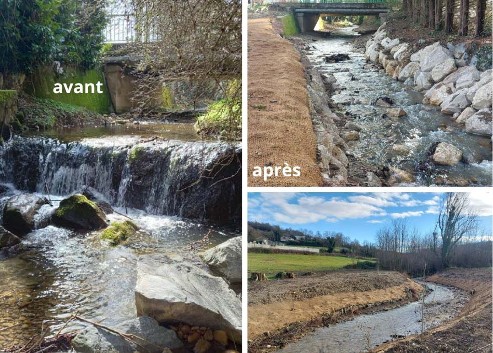 La restauration du Girand profite à la faune piscicole