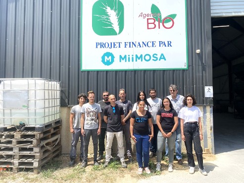 Oléagineux et céréales bons pour la transition agroécologique