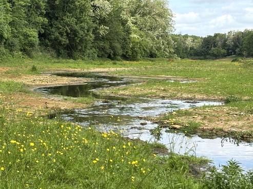 Le ruisseau qui voulait faire des virages