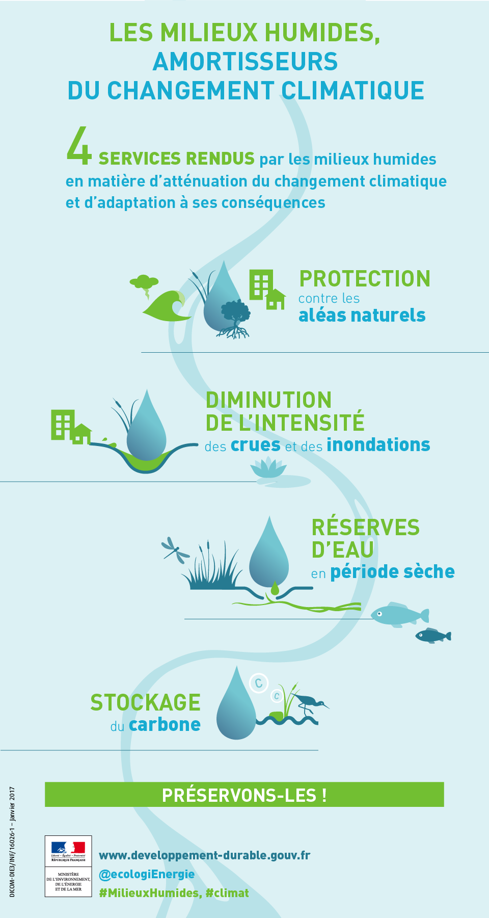 Infographie - Les milieux humides