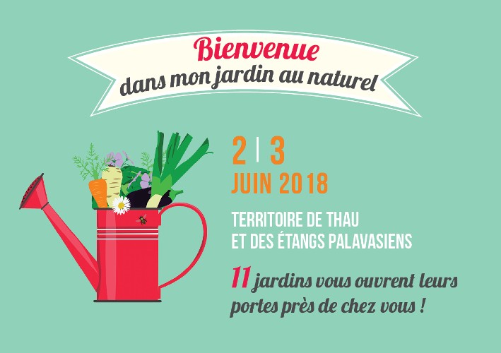 Vignettes Site web 2018